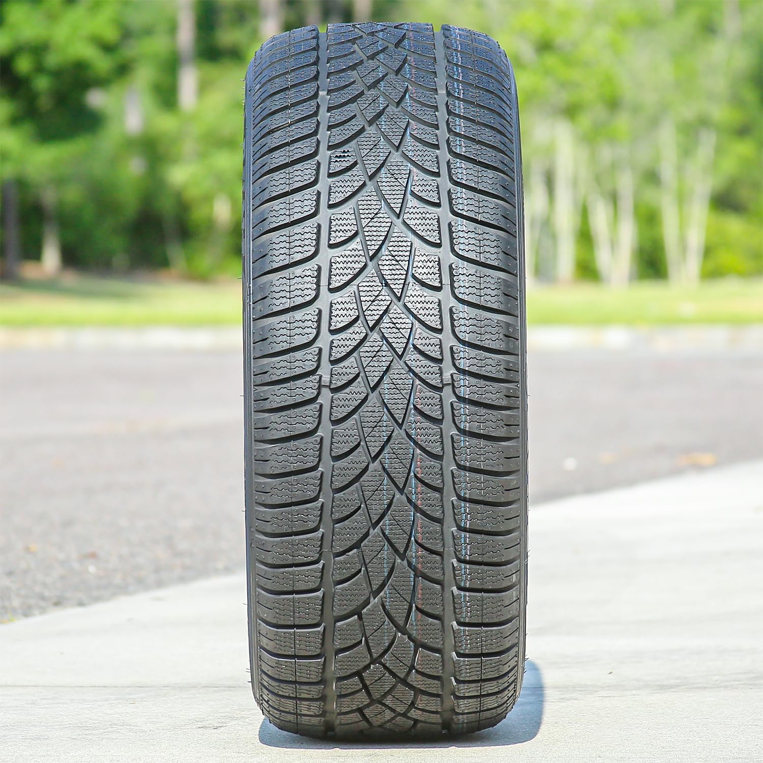 Amazon.com: Dunlop Sp Winter Sport 3D Rof 205/55R16 91H Blt Winter